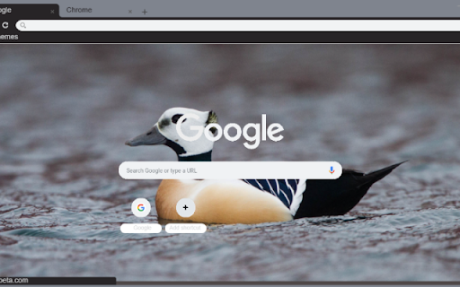 Vit bien  from Chrome web store to be run with OffiDocs Chromium online