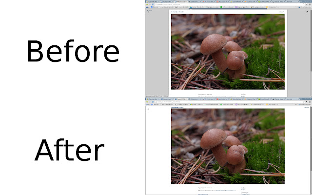 Vk Photo (nice pictures)  from Chrome web store to be run with OffiDocs Chromium online