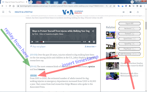 VOA Learning English Timestamp  from Chrome web store to be run with OffiDocs Chromium online