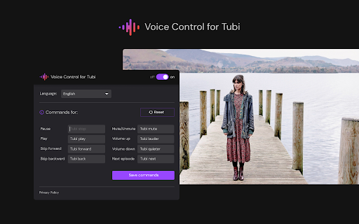 Voice Control for Tubi TV  from Chrome web store to be run with OffiDocs Chromium online