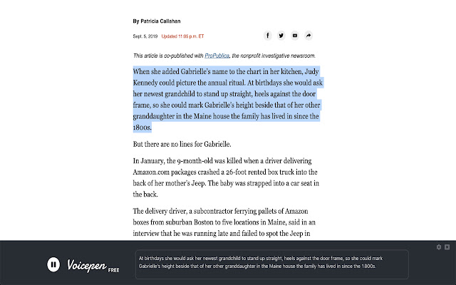 Voicepen  from Chrome web store to be run with OffiDocs Chromium online