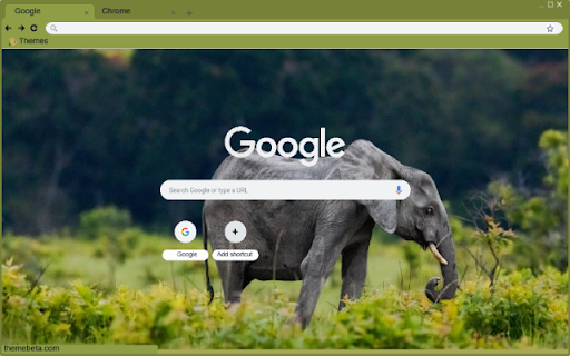 Voi rung  from Chrome web store to be run with OffiDocs Chromium online