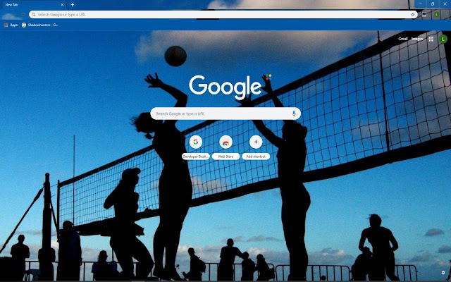 Volleyball Theme  from Chrome web store to be run with OffiDocs Chromium online