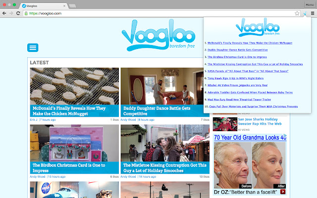 Voogloo  from Chrome web store to be run with OffiDocs Chromium online