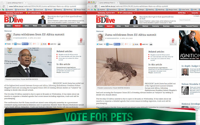 Vote for Pets  from Chrome web store to be run with OffiDocs Chromium online