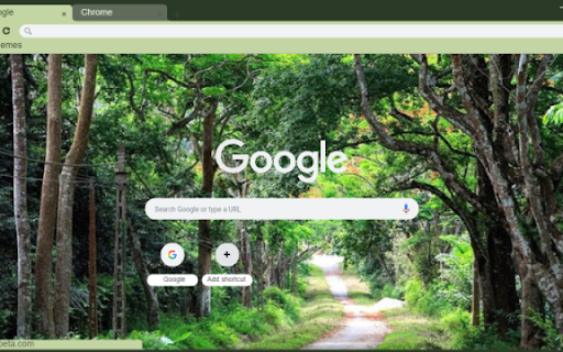 Vuon quoc gia Cuc Phuong  from Chrome web store to be run with OffiDocs Chromium online