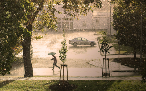 Walking in the rain  from Chrome web store to be run with OffiDocs Chromium online