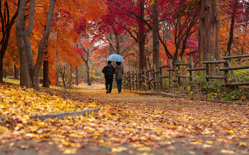 Walk in the park  from Chrome web store to be run with OffiDocs Chromium online