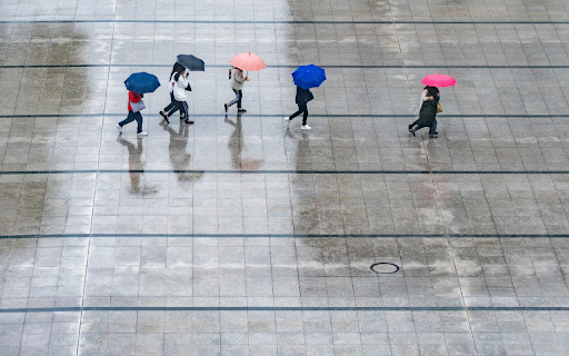 Walk in the rain  from Chrome web store to be run with OffiDocs Chromium online