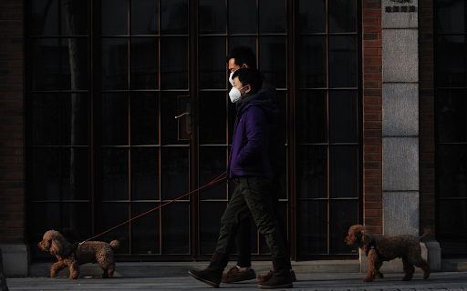 Walk the dog  from Chrome web store to be run with OffiDocs Chromium online