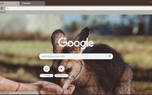 Wallaby  from Chrome web store to be run with OffiDocs Chromium online