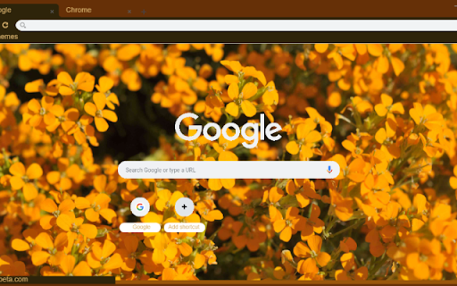 Wallflower  from Chrome web store to be run with OffiDocs Chromium online