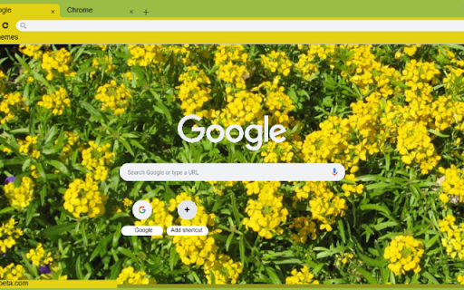 Wallflower Yellow  from Chrome web store to be run with OffiDocs Chromium online