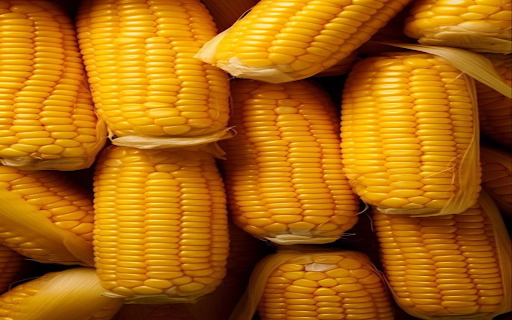 Wallpaper of corn cobs  from Chrome web store to be run with OffiDocs Chromium online