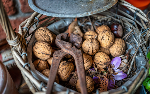 walnut and pliers  from Chrome web store to be run with OffiDocs Chromium online