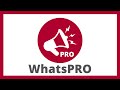 WAPI PREMIUM 4.4  from Chrome web store to be run with OffiDocs Chromium online