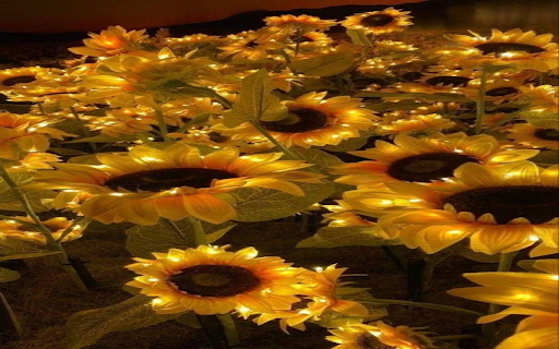 Warm sunflower wallpaper  from Chrome web store to be run with OffiDocs Chromium online