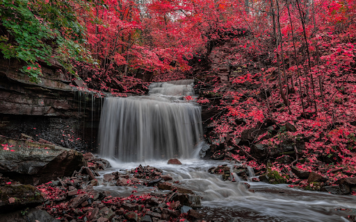 Waterfall and red tree forest  from Chrome web store to be run with OffiDocs Chromium online