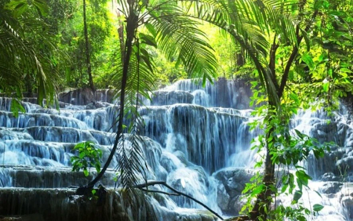 Waterfall in the Jungle  from Chrome web store to be run with OffiDocs Chromium online