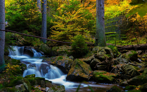 Waterfall Scene  from Chrome web store to be run with OffiDocs Chromium online
