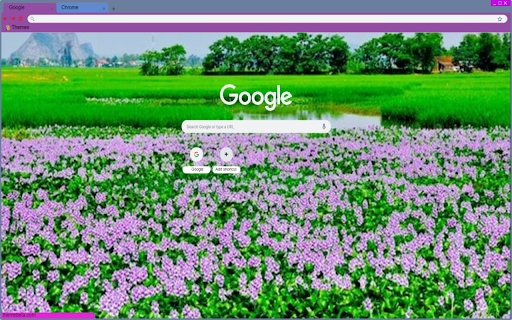 Water hyacinth in the countryside  from Chrome web store to be run with OffiDocs Chromium online