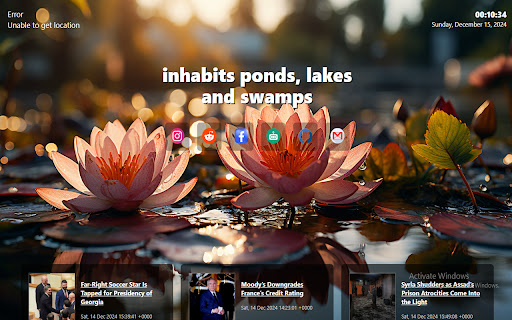 water lily  from Chrome web store to be run with OffiDocs Chromium online