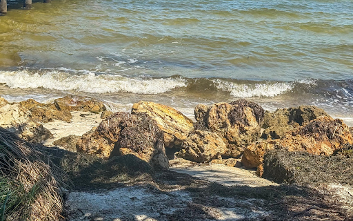 Waves and rocks and dry grass  from Chrome web store to be run with OffiDocs Chromium online