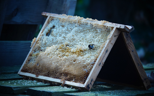 Wax and honey  from Chrome web store to be run with OffiDocs Chromium online
