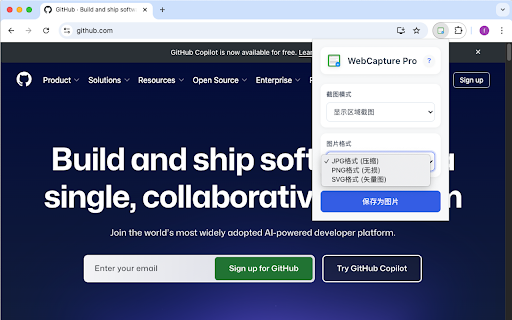 WebCapture Pro  from Chrome web store to be run with OffiDocs Chromium online