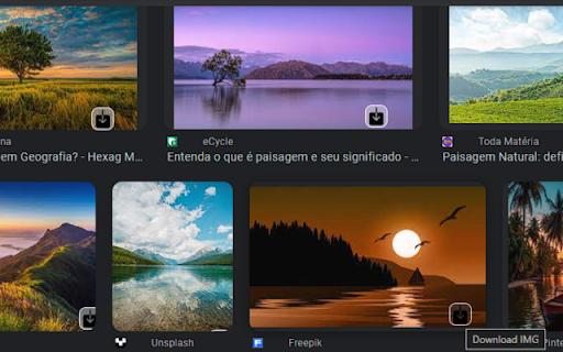 WebMediaDownload  from Chrome web store to be run with OffiDocs Chromium online