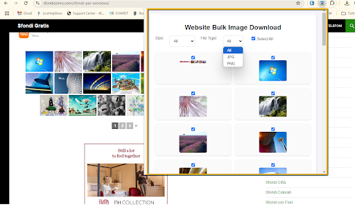 Website Bulk Image Download  from Chrome web store to be run with OffiDocs Chromium online