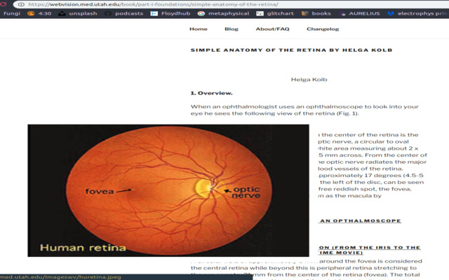WebVision Enhance  from Chrome web store to be run with OffiDocs Chromium online