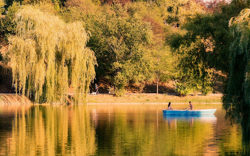Weeping Trees by the Lake  from Chrome web store to be run with OffiDocs Chromium online