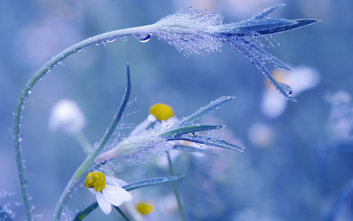 Wet tree  from Chrome web store to be run with OffiDocs Chromium online