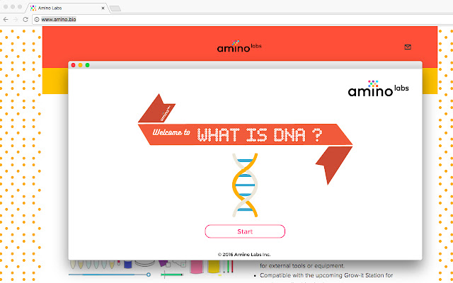 What is DNA?  from Chrome web store to be run with OffiDocs Chromium online