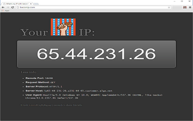 What is my IP with Bacon?  from Chrome web store to be run with OffiDocs Chromium online
