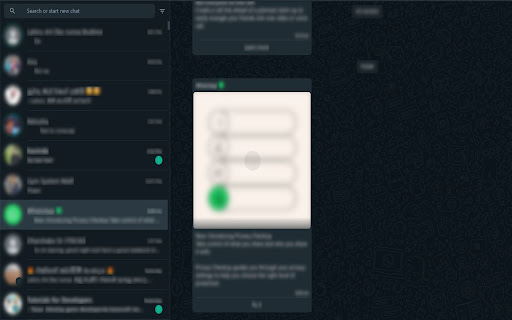 Whatsapp Privacy Protector  from Chrome web store to be run with OffiDocs Chromium online