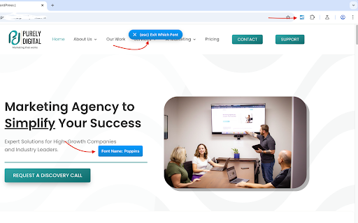 Which Font?  from Chrome web store to be run with OffiDocs Chromium online