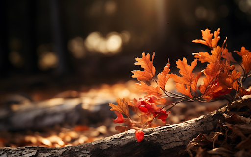 Whispers of Autumn  from Chrome web store to be run with OffiDocs Chromium online