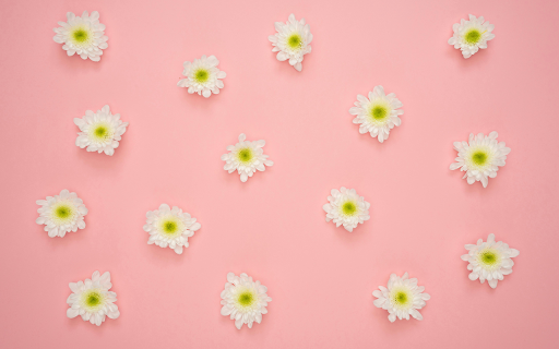 White and Yellow Flower on Pink Wall  from Chrome web store to be run with OffiDocs Chromium online