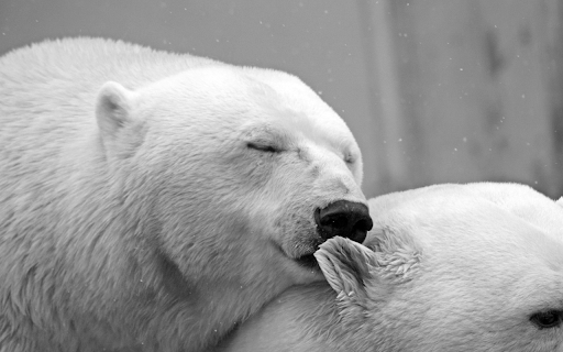 White Bear  from Chrome web store to be run with OffiDocs Chromium online