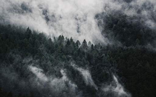 White cloud forest from Chrome web store to be run with OffiDocs Chromium online White cloud forest from Chrome web store to be run with OffiDocs Chromium online