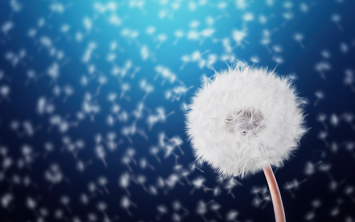White dandelion flower  from Chrome web store to be run with OffiDocs Chromium online