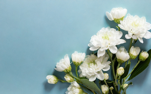 White Flower Branch  from Chrome web store to be run with OffiDocs Chromium online