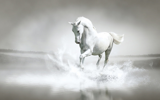 White Horse  from Chrome web store to be run with OffiDocs Chromium online