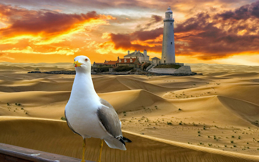 White necked pigeon  from Chrome web store to be run with OffiDocs Chromium online