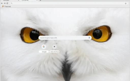 White Owl  from Chrome web store to be run with OffiDocs Chromium online