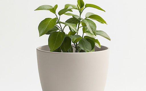 White pot with green plants  from Chrome web store to be run with OffiDocs Chromium online