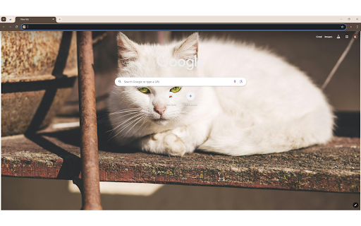 White Short Fur Cat Near Brown Metal Rod  from Chrome web store to be run with OffiDocs Chromium online White Short Fur Cat Near Brown Metal Rod  from Chrome web store to be run with OffiDocs Chromium online