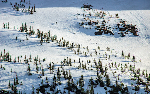 White Snow and Green Trees  from Chrome web store to be run with OffiDocs Chromium online